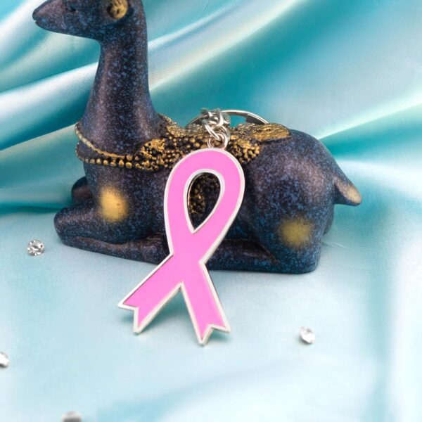 Aisity Breast Cancer Awareness Keychain Accessories Inspirational Gifts for Breast Cancer Women Female Pink Breast Cancer Awareness Decorations - Image 3