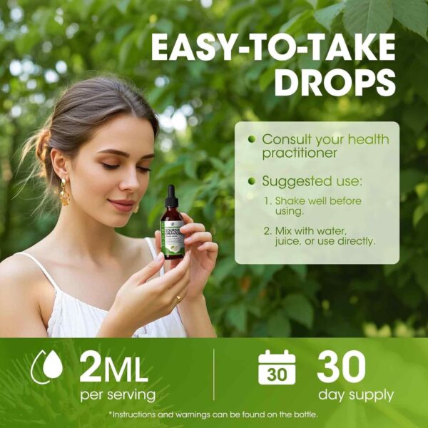 Soursop Graviola Liquid Drop for Cell Support & Regeneration, Immune System and Gut Health Support, Soursop Bitters Liquid, Herbal Goodness, Sugar/Gluten Free, Natural Flavor, 2 Fl Oz - Image 6