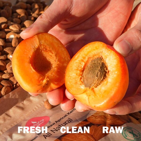 Mighty Apricot USDA Organic Bitter Apricot Kernels(1LB) 16oz, Natural Raw Bitter Apricot Seeds, Vegan, Non-GMO, Gluten Free, Great source of Vitamin B17 and B15, Maximum 3 Kernels/day - Image 6