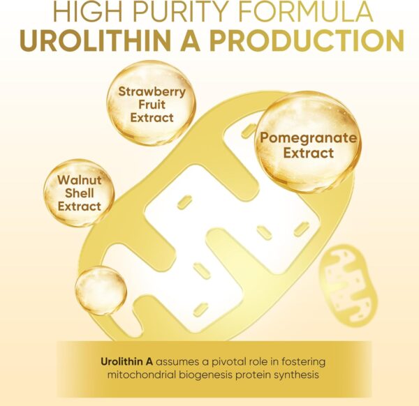 120 Count Capsules 3000MG Urolithin A+, Advanced Cellular Health & Vitality, Made in USA - Image 4