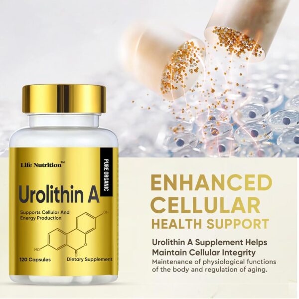 120 Count Capsules 3000MG Urolithin A+, Advanced Cellular Health & Vitality, Made in USA - Image 9