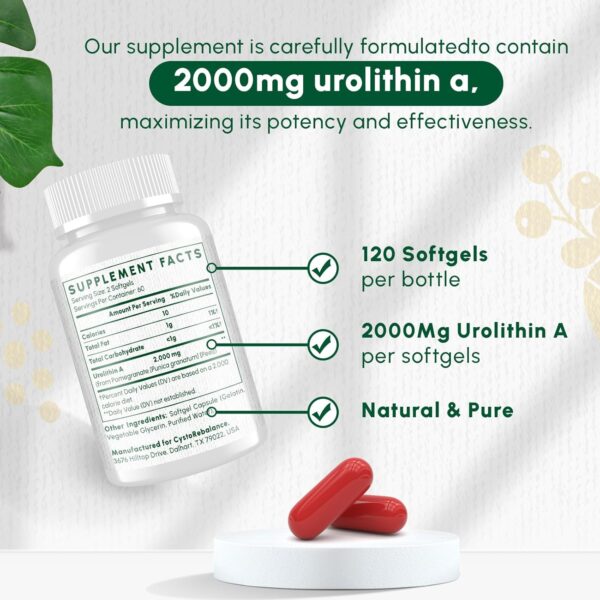 Urolithin A Supplement 2000MG - for Healthy Aging, Antioxidants and Mitochondrial Support - High Purity & Potency - 120 Softgels - 2 Month Supply - Image 4