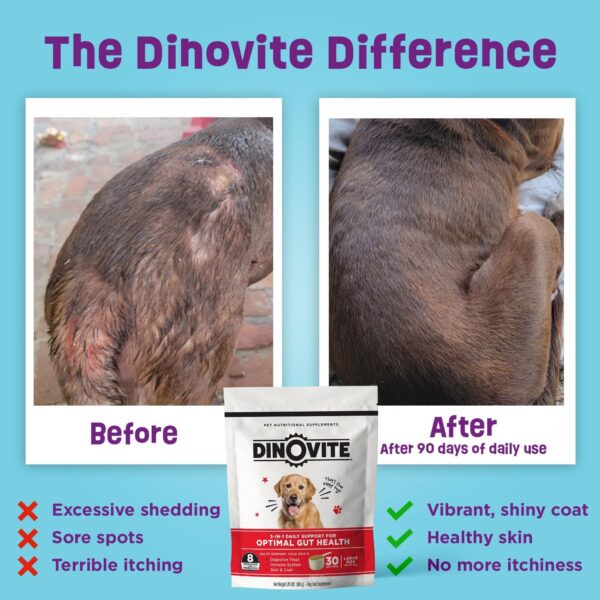 Dinovite Probiotic Supplement for Dogs - Omega 3 for Dogs - Hot Spot Relief - Skin & Coat Supplement for Dogs - 30 Day Supply (30 Day Supply, Medium Dogs (18-45 lbs)) - Image 3