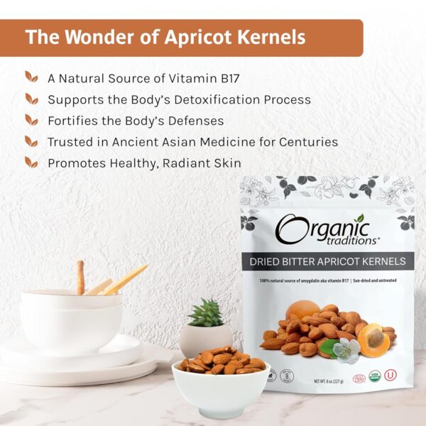 Organic Traditions Apricot Kernels – Sundried - Natural Source of Vitamin B17 – Sweet & Bitter Apricot Seeds - 8oz - Image 3
