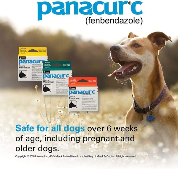 Panacur C Canine Dewormer (Fenbendazole), 4 Gram, 3 Count (Pack of 1), Red - Image 3