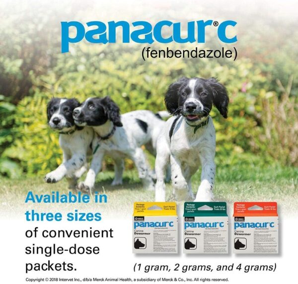 Panacur C Canine Dewormer (Fenbendazole), 4 Gram, 3 Count (Pack of 1), Red - Image 5