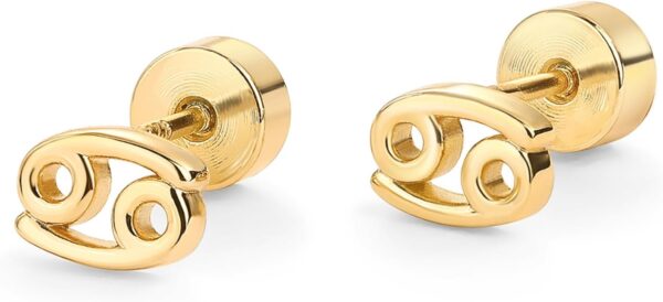 PAVOI 14K Gold Plated Sterling Silver Posts Zodiac Sign Flat Back Earring Studs | Birthday Gift for Women | Astrology Earring Pair - Image 3