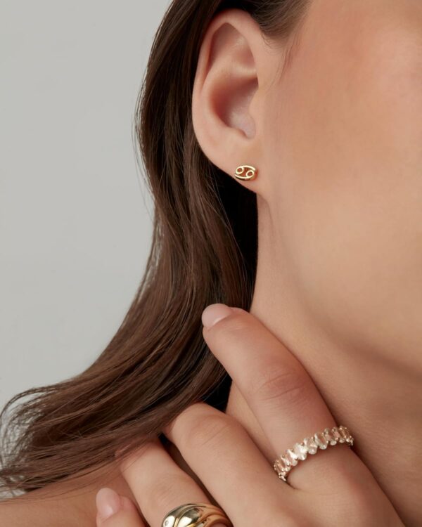 PAVOI 14K Gold Plated Sterling Silver Posts Zodiac Sign Flat Back Earring Studs | Birthday Gift for Women | Astrology Earring Pair - Image 4