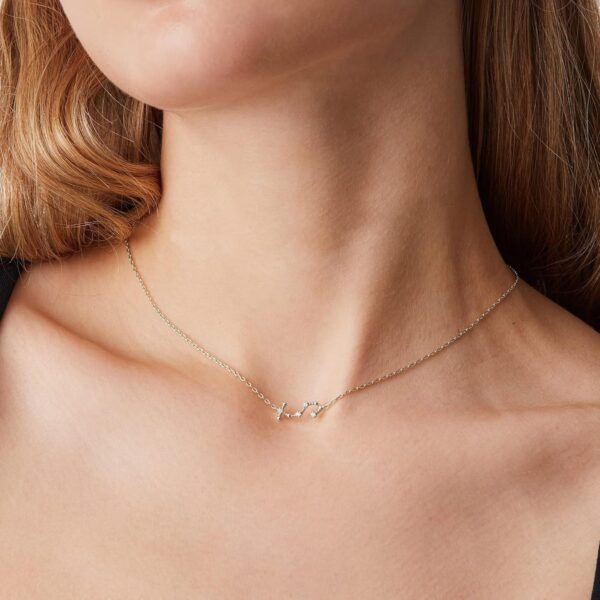 PAVOI 14K Gold Plated Astrology Constellation Horoscope Zodiac Necklace 16-18" - Image 2