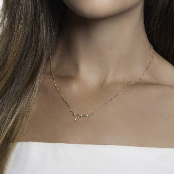 PAVOI 14K Gold Plated Astrology Constellation Horoscope Zodiac Necklace 16-18" - Image 3