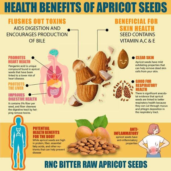 Richardson Nutritional Center Fresh Raw Bitter Apricot Seeds - California Grown Kernels with Amygdalin, B Vitamins, Minerals, Protein - Lab Tested, Vegan, No Gluten or GMO - 8oz Bag - Image 4