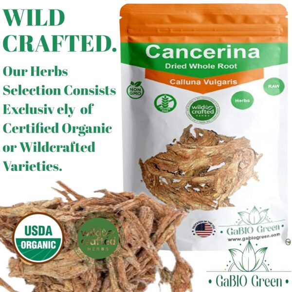 Cancerina Hierba Mexicana 8 oz -100% natural Cancerina Tea Herbs 8 oz, Calluna Vulgaris, Cancerina Herbs, Hierva mexicana, Anahuac Cancerian, Resealable Bag. Packing in USA (8 oz) - Image 2