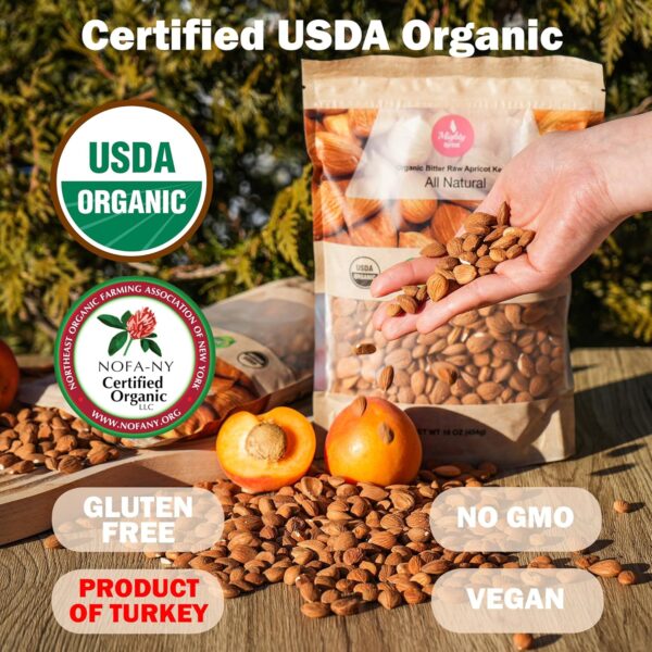 Mighty Apricot USDA Organic Bitter Apricot Kernels(1LB) 16oz, Natural Raw Bitter Apricot Seeds, Vegan, Non-GMO, Gluten Free, Great source of Vitamin B17 and B15, Maximum 3 Kernels/day - Image 2