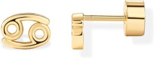 PAVOI 14K Gold Plated Sterling Silver Posts Zodiac Sign Flat Back Earring Studs | Birthday Gift for Women | Astrology Earring Pair