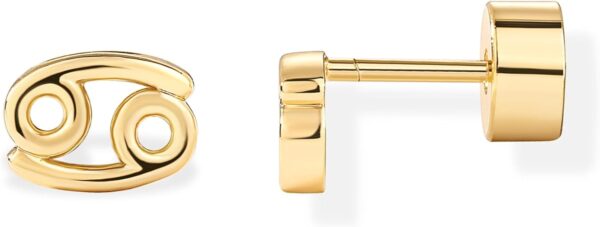 PAVOI 14K Gold Plated Sterling Silver Posts Zodiac Sign Flat Back Earring Studs | Birthday Gift for Women | Astrology Earring Pair