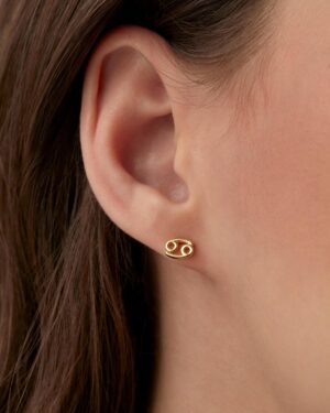 PAVOI-14K-Gold-Plated-Sterling-Silver-Posts-Zodiac-Sign-Flat-Back-Earring-Studs-Birthday-Gift-for-Women-Astrology-Earring-Pair.jpg