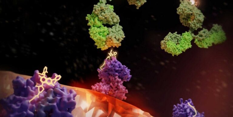 Reviving Hope: How a Previously Failed Cancer Drug is Reimagined as a Targeting 'Flag' for Precision Cancer Treatments
