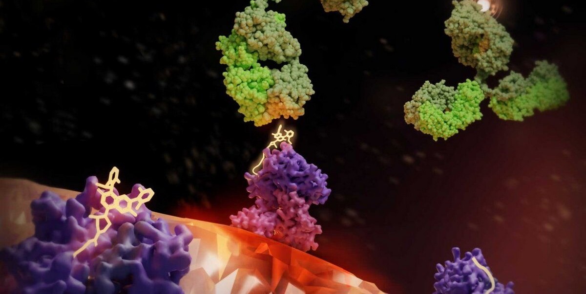 Reviving Hope: How a Previously Failed Cancer Drug is Reimagined as a Targeting 'Flag' for Precision Cancer Treatments