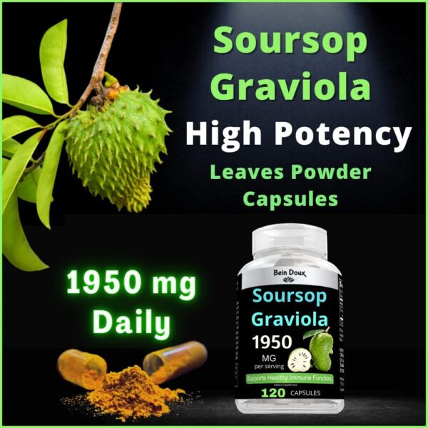 1950mg Soursop Graviola Capsules (Guanábana) Organic Leaves Powder Rich in Potent Anti-Oxidants - 120 Capsules 40 Servings - Image 3