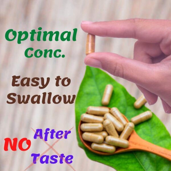 1950mg Soursop Graviola Capsules (Guanábana) Organic Leaves Powder Rich in Potent Anti-Oxidants - 120 Capsules 40 Servings - Image 6