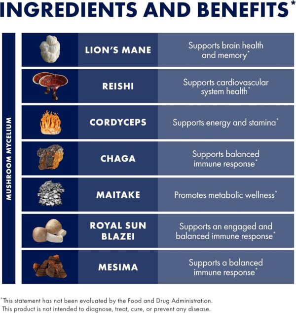 Host Defense Stamets 7 Mushroom Powder - 7 Species Blend - Mushroom Supplement for Immune Support with Royal Sun Blazei, Cordyceps, Reishi, Maitake, Lion's Mane, Chaga & Mesima - 3.5 oz (66 Servings) - Image 4
