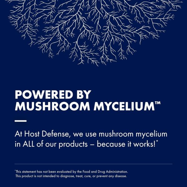 Host Defense Stamets 7 Mushroom Powder - 7 Species Blend - Mushroom Supplement for Immune Support with Royal Sun Blazei, Cordyceps, Reishi, Maitake, Lion's Mane, Chaga & Mesima - 3.5 oz (66 Servings) - Image 6
