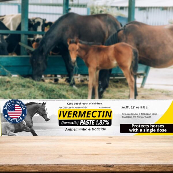 Ivermectin Horse Paste 6.08 Grams 2 Pack (Package May Vary) - Image 4