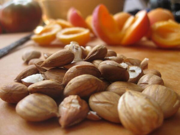 Apricot Seeds California Grown Bitter Raw 100% All Natural From Organic Farms 8 OZ - Image 4