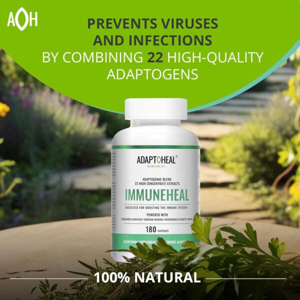 Immuneheal – Adaptogen, Immune System Booster Supplement with Schisandra Chinensis, Ginseng and Mushroom Extract (180 Capsules) - Image 3