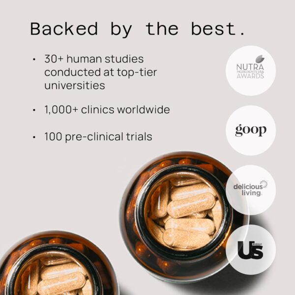 Premium AHCC Immune Support Supplement - Most Bioavaliable AHCC - Natural Mushroom Extract - Quality of Life AHCC Kinoko Rx - Image 6