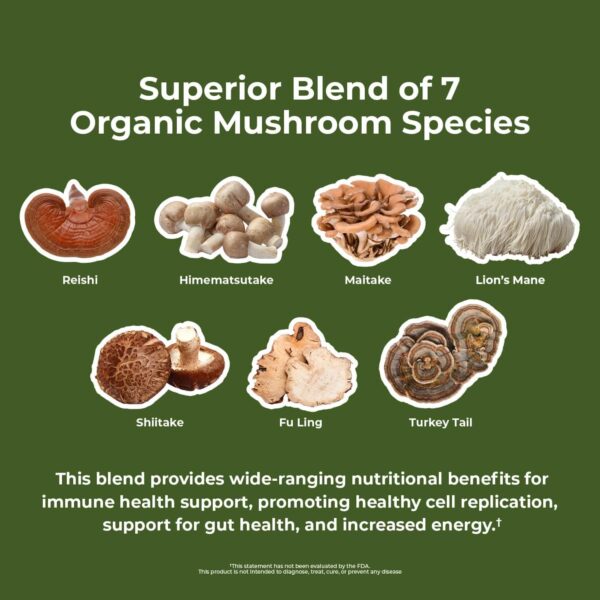 Nature's Lab Mushroom 7 Organic Blend - Benefits The Immune System, Cell Function and Endurance - 90 Capsules (45 Servings) - Image 3