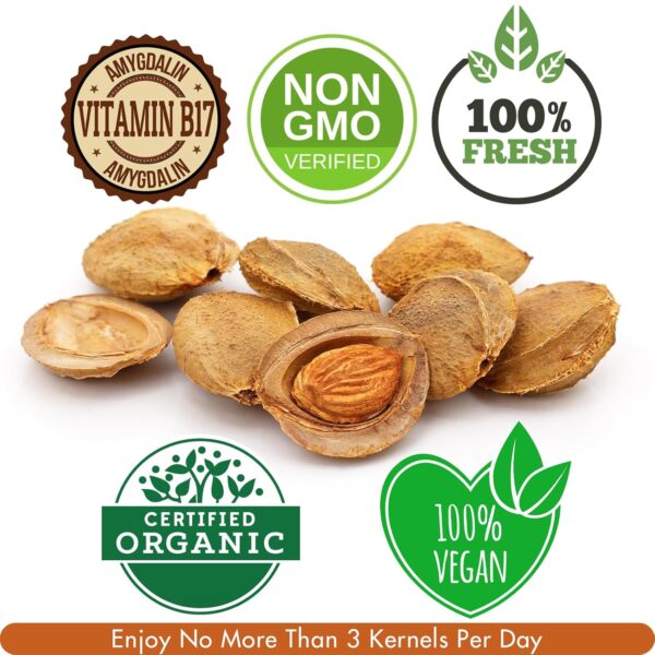 Cure wid Pure Certified Organic Bitter Apricot Kernels 1lb -Freshly Packed,Gluten Free,Raw,Non-GMO Organic Apricot Seeds - Rich in Vitamin B17 - Eco-Friendly Resealable Packaging - Image 3