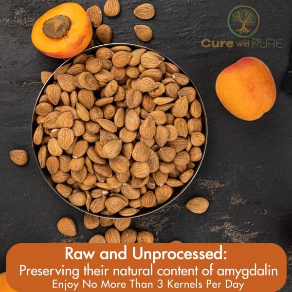 Cure wid Pure Certified Organic Bitter Apricot Kernels 1lb -Freshly Packed,Gluten Free,Raw,Non-GMO Organic Apricot Seeds - Rich in Vitamin B17 - Eco-Friendly Resealable Packaging - Image 4