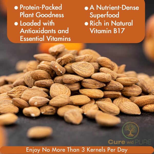 Cure wid Pure Certified Organic Bitter Apricot Kernels 1lb -Freshly Packed,Gluten Free,Raw,Non-GMO Organic Apricot Seeds - Rich in Vitamin B17 - Eco-Friendly Resealable Packaging - Image 7
