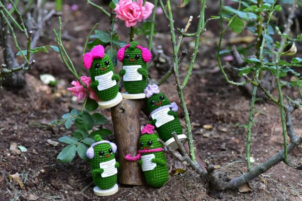 Funny Crochet Pickles 1 Pcs with Affirmations Cards for Inspirational Novelty Good Luck Gift and Party Decorations (KK-CKD04- REDCUM) - Image 7