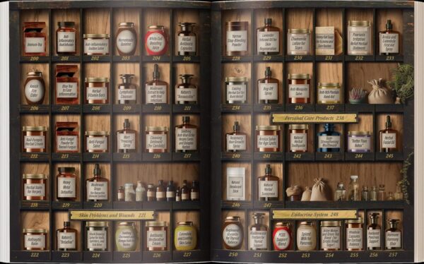 Forgotten Home Apothecary : 250 Powerful Remedies at Your Fingertips - Image 3