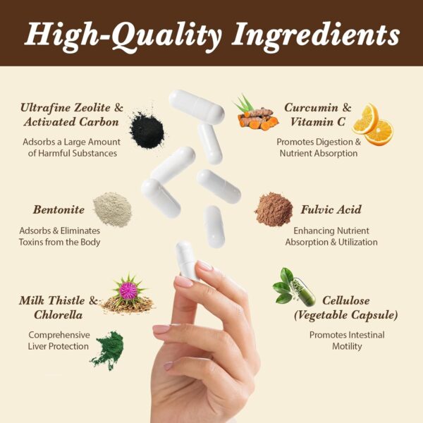 Zeolite Detox Capsules, Organic Activated Charcoal, Bentonite Clay, 1-2 µm Clinoptilolite, Maximum Absorption, Gut Liver Detox Cleanse Full Body for Women Men, 90 Capsules - Image 3