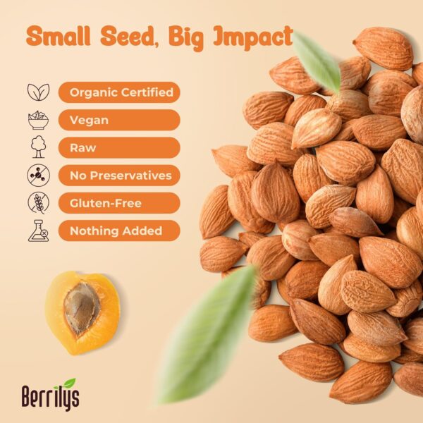 Berrilys Organic Bitter Apricot Kernels - USDA Certified Organic Bitter Apricot Seeds - Natural & Non-GMO, Premium Quality Kernals, No Sulfur or Additives - 16 oz - Image 5