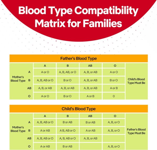 Eldoncard INC Blood Type Test (Complete KIT) - Find Out if You are A, B, O, AB & RH- Results in Minutes - Air Sealed Envelope, Safety Lancet, Micropipette, Cleansing Swab - 1 Pack - Image 5