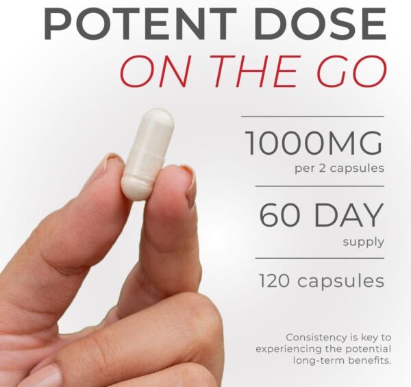 Neurogan Enhanced Strength Urolithin A Pro Capsules - 1000mg, 120 Count - Advanced Cellular Health & Vitality - 60,000mg Ultra Micronized - Lab Verified, Made in USA - Image 3