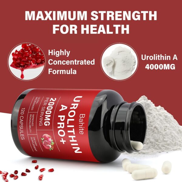 Urolithin A Supplement Capsules 2000MG, High Potency Urolithin A+ Supplement for Healthy Aging, Muscle Recovery, Cellular Health & Vitality Support, 120 Capsules - Image 3