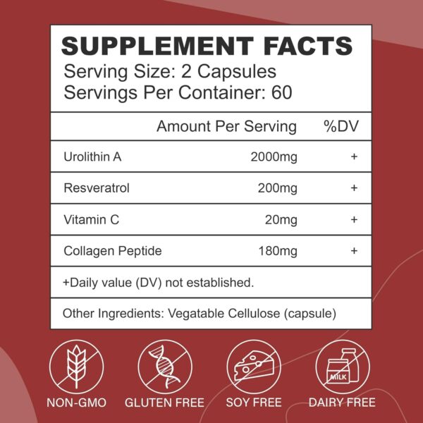Urolithin A Supplement Capsules 2000MG, High Potency Urolithin A+ Supplement for Healthy Aging, Muscle Recovery, Cellular Health & Vitality Support, 120 Capsules - Image 4