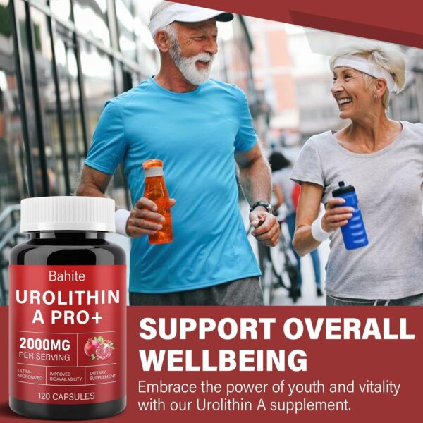 Urolithin A Supplement Capsules 2000MG, High Potency Urolithin A+ Supplement for Healthy Aging, Muscle Recovery, Cellular Health & Vitality Support, 120 Capsules - Image 5