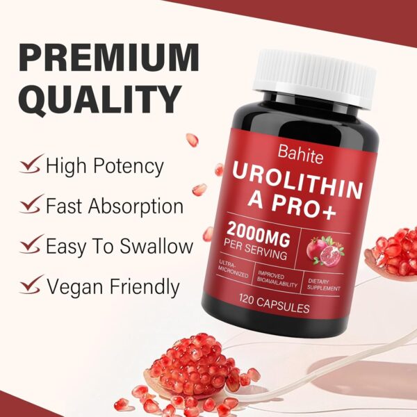 Urolithin A Supplement Capsules 2000MG, High Potency Urolithin A+ Supplement for Healthy Aging, Muscle Recovery, Cellular Health & Vitality Support, 120 Capsules - Image 7