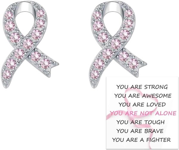 Breast Cancer Awareness Earrings 925 Sterling Silver Pink Ribbon Stud Bracelet Necklace Jewelry Survivor Gifts for Women