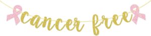 Cancer Free Glitter Banner, Cancer Survivor Decoration, Beat Cancer Party Garland, Cancer Ribbon Sign