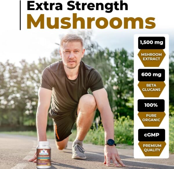 Cancer Sciences Colon Wellness Supplement, USDA Certified Organic Mushrooms Extract, Extra Strength 1,500 mg, High Potency 40% Beta-Glucans, Immune, Gut & Digestive, Colon Cleanse & Detox, 120 Caps - Image 2