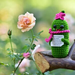 Funny-Crochet-Pickles-1-Pcs-with-Affirmations-Cards-for-Inspirational-Novelty-Good-Luck-Gift-and-Party-Decorations-KK-CKD04-REDCUM.jpg