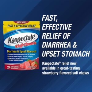 Kaopectate-Soft-Chews-Bismuth-Subsalicylate-Anti-Diarrheal-and-Upset-Stomach-Reliever-24-Count.jpg
