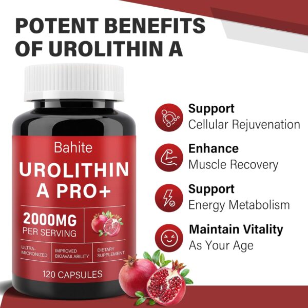 Urolithin A Supplement Capsules 2000MG, High Potency Urolithin A+ Supplement for Healthy Aging, Muscle Recovery, Cellular Health & Vitality Support, 120 Capsules - Image 2